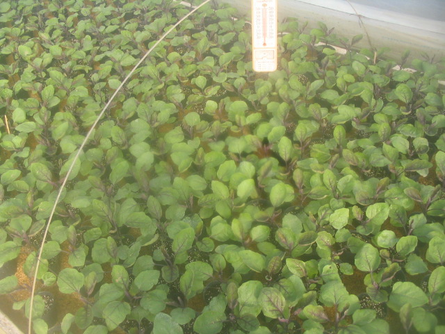 av케이블 있으신분 계신가요?_1.jpg