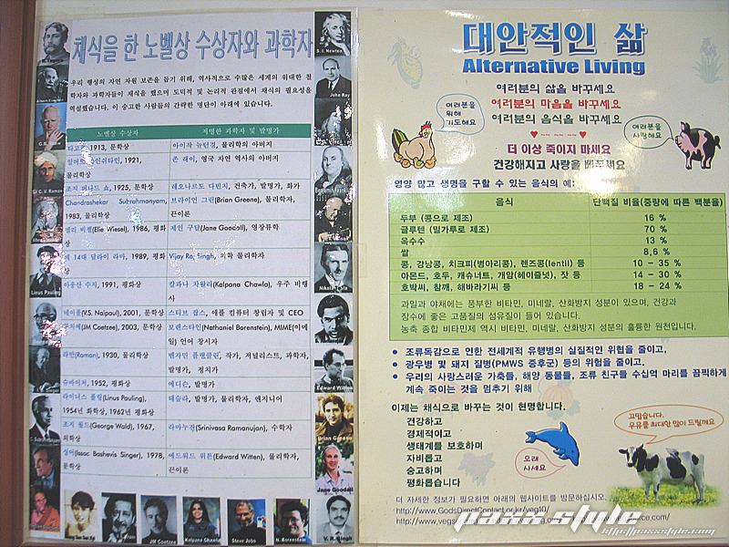 양재 채식 부페에서 점심 먹고 왔습니다
