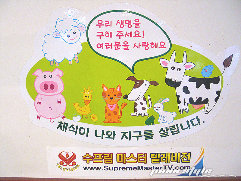 양재 채식 부페에서 점심 먹고 왔습니다