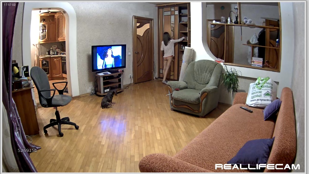 living room real cams